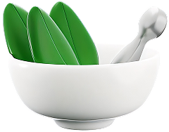 Ayurvedic herbs in a bowl